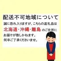 先行予約 すもも（大石）900g ※5月下旬～6月中旬頃に順次発送予定【期間限定・2027/5/31まで】 / スモモ お取り寄せ 期間限定 夏 フルーツ 果物 和歌山県 田辺市【mtm010-2】