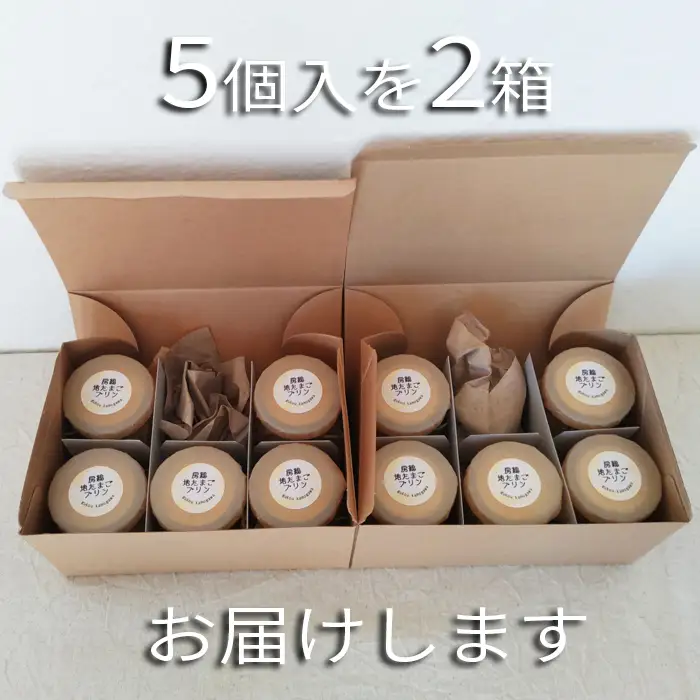 【具琥】房総地たまごプリン１０個 [0011-0036]
