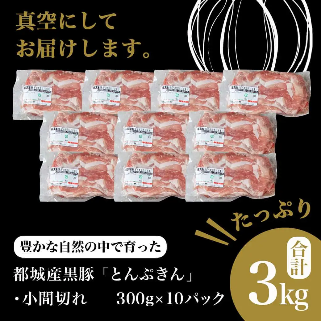 黒豚「とんぷきん」こま切れ3kg〔MJ-5904〕_(都城市) 都城の豊かな自然の中 かぼちゃを与えられて大切に育てられたブランド豚「とんぷきん」の小間切れ 300g×10パック 豚肉 計3,000g