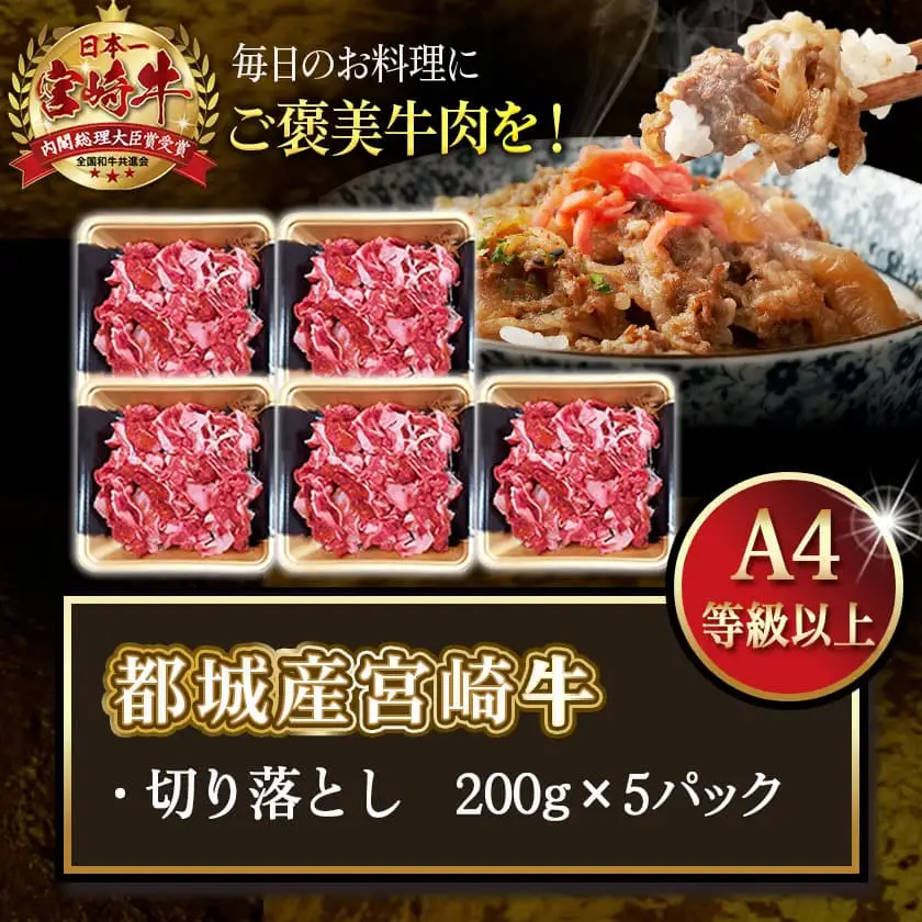 宮崎牛切り落とし1kg〔MJ-7702〕_(都城市) 牛肉 宮崎牛切り落とし肉(200g×5パック) 冷凍・小分けパック 切落とし肉 A4ランク