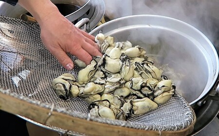 期間限定【柳ばし小松屋】かき佃煮（曲げわっぱ入り）_0181-002-T05