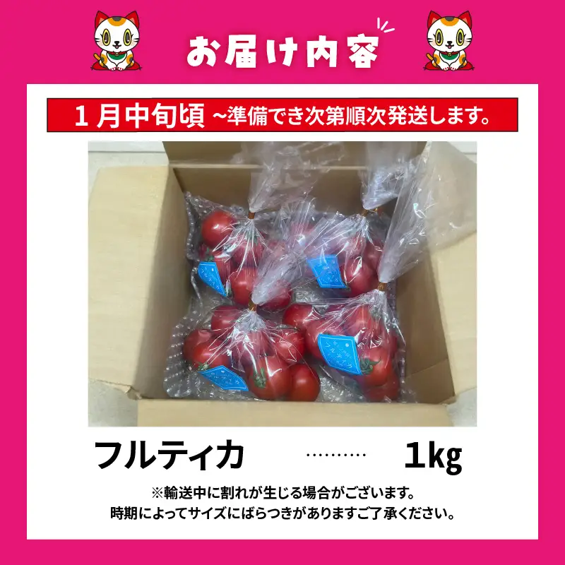 【先行予約】【2027年1月中旬以降発送】フルーツトマト　中玉フルティカ1kg