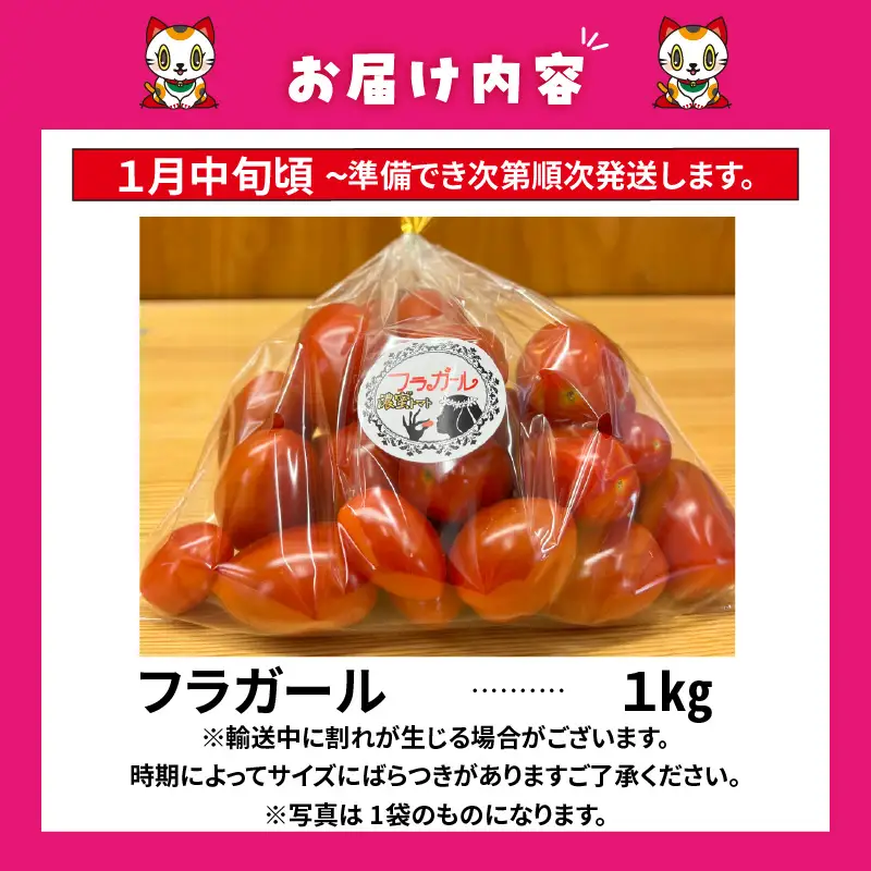 【先行予約】【2027年1月中旬以降発送】フルーツトマト　フラガール1kg（へたなし）