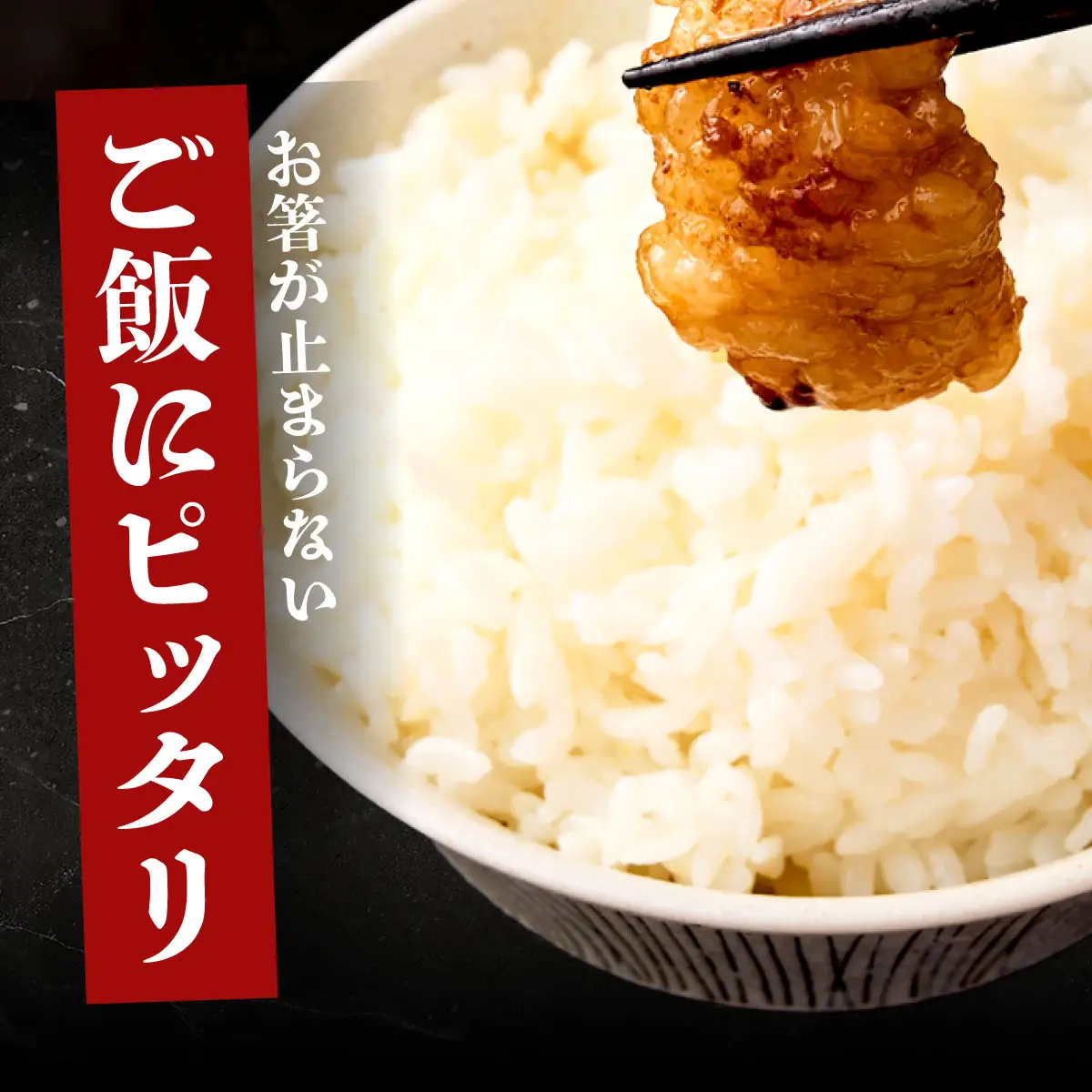 ヤマジュウの特製タレ漬け！国産牛ホルモン６００ｇ【６回定期便】 頒布会