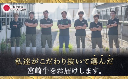 宮崎牛【赤身霜降り】ロースステーキ200g×2枚〔18-6502〕_(都城市) 牛肉 宮崎牛 ロースステーキ400g(200g×2) ステーキソース付き サシ入り赤身霜降り牛肉 ステーキ 鉄板焼き ギフト 贈答用