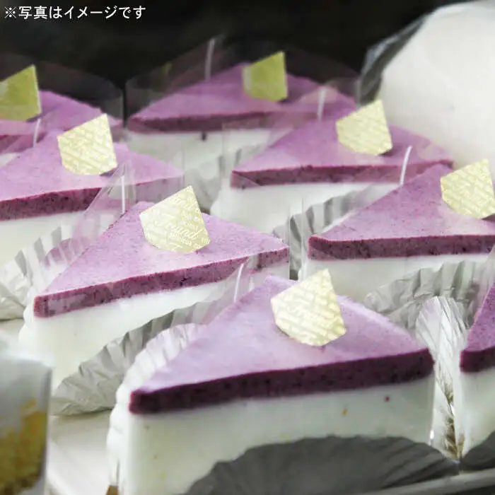 【全3回定期便】ブルーベリー ヨーグルト ムース ケーキ 国産 ブルーベリー [ABAK004] 