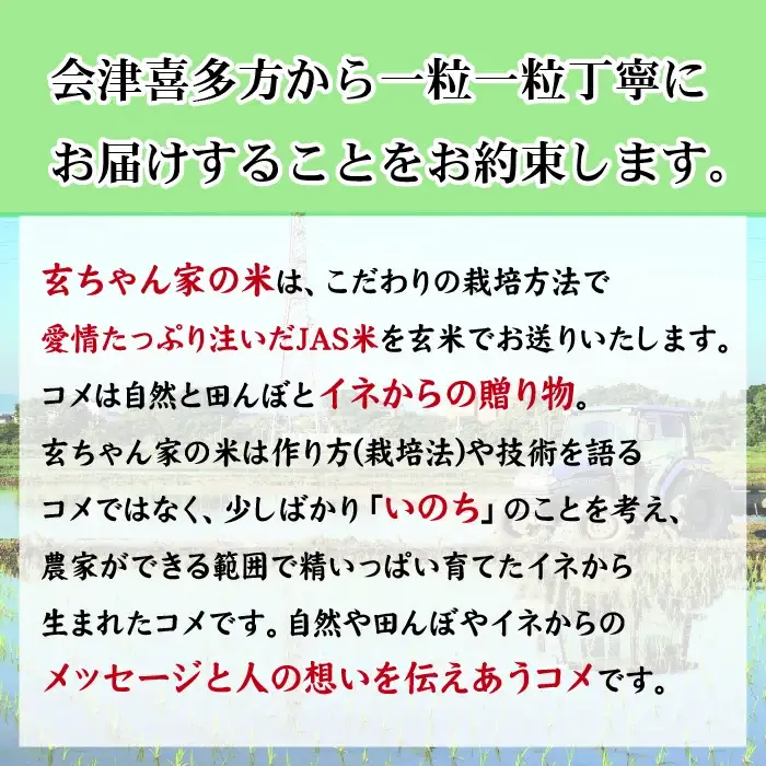 有機無農薬ＪＡＳ認証米コシヒカリ玄米5㎏　【07208-0203】