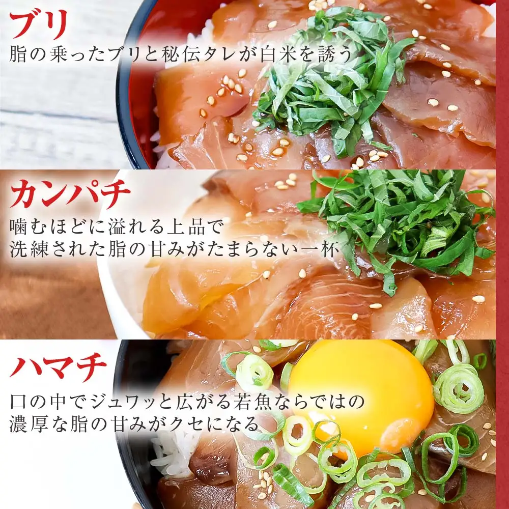 漬け丼 海鮮5種食べ比べセット 訳あり 5種×2P 計10パック 各80g【漬け丼】