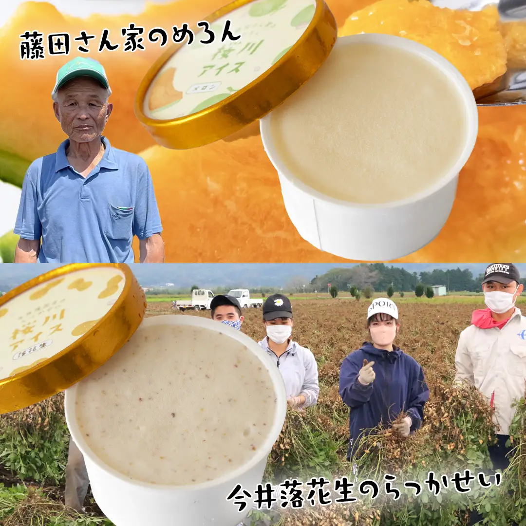 【生産者支援】桜川アイス 6種 12個 セット  数量限定 食べ比べ 90ml×6種類 桜川市のこだわり素材を使用 アイス あいす デザート スイーツ 産地限定 おやつ カップ フレーバー メロン ゆず 蜜芋 コーヒー 栗 茨城県  [SC041sa]