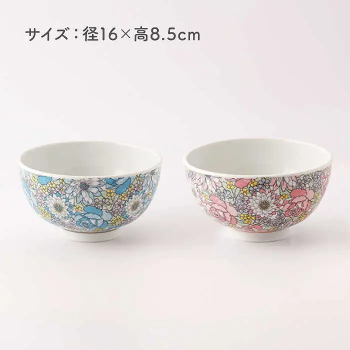 軽々丼ぶりセット NAZ408 やきもの 食器