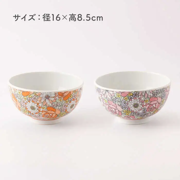 軽々丼ぶりセット NAZ409 やきもの 食器