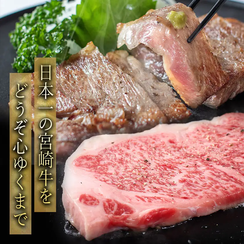 宮崎牛サーロインステーキ 200g×2枚【A5】〔AD-A0-002〕_(都城市) A5ランクの宮崎牛 5等級 肩ロース(200g) 2枚セット『内閣総理大臣賞』を受賞した生産者のお肉です！ 牛肉 ギフト 贈答用