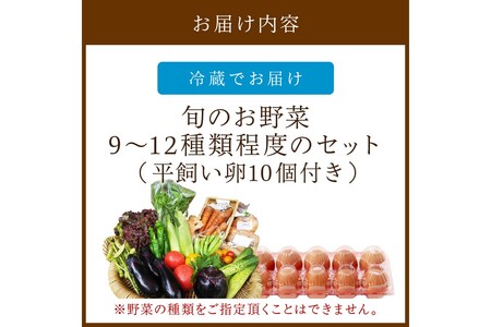 京都・京野菜セット（卵付き）【アスカ有機農園】京の旬野菜セットL平飼い卵付き（栽培期間中農薬・化学肥料不使用）＜京都 オーガニック アクション加盟＞京野菜セット・野菜 詰め合わせ・栽培期間中 無農薬・有機野菜（オーガニック野菜）などのセット・玉子付き・卵・たまご・京野菜・旬野菜・有機野菜・セット・詰め合わせ