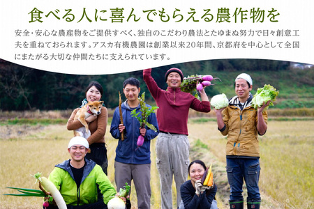 野菜 定期便 12回【アスカ有機農園】京の旬野菜セットS（栽培期間中農薬・化学肥料不使用）＜京都 オーガニック アクション加盟＞京野菜セット・野菜 詰め合わせ・栽培期間中 無農薬・有機野菜（オーガニック野菜）などのセット・京都 定期便・野菜 定期・野菜セット・京野菜・野菜・やさい