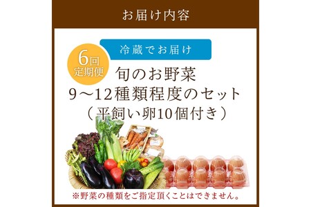 野菜 定期便 6回（卵付き）【アスカ有機農園】京の旬野菜セットL平飼い卵付き（栽培期間中農薬・化学肥料不使用）＜京都 オーガニック アクション加盟＞京野菜セット・野菜 詰め合わせ・栽培期間中 無農薬・有機野菜（オーガニック野菜）などのセット・玉子付き・京都 定期便・野菜 定期・野菜・やさい・京野菜・卵・たまご