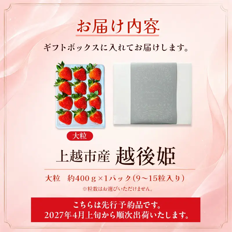【先行予約】越後姫 大粒いちご 越後姫 約400g 渡辺農園