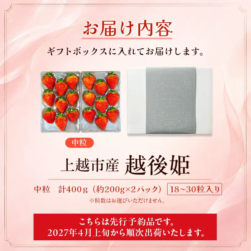 【先行予約】越後姫 中粒いちご 越後姫 約200g×2P 渡辺農園