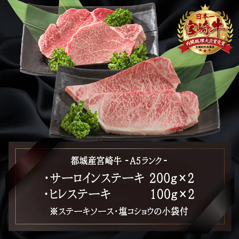 宮崎牛(A5)ヒレ&サーロインステーキ600g〔MB-0125〕_(都城市) 牛肉 牛サーロインステーキ肉 (200g×2枚) 牛ヒレステーキ肉(100g×2) 合計600グラム 食べ比べ 贅沢ディナー Ａ5ランク 5等級 ギフト 贈答用