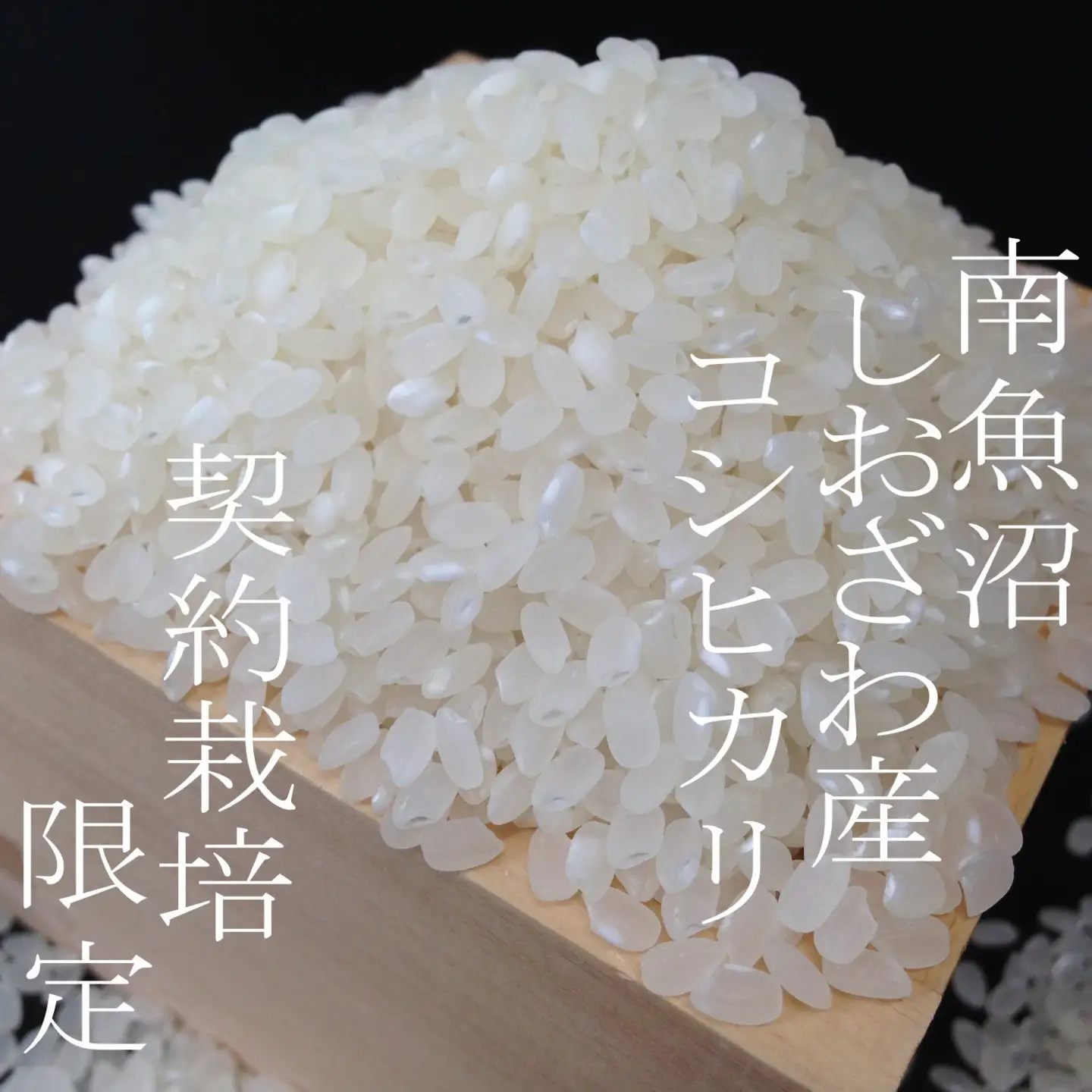 【令和7年※精米2Kg】契約栽培限定 南魚沼しおざわ産コシヒカリ｜コシヒカリ