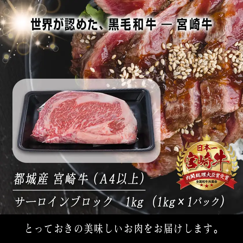 宮崎牛サーロインブロック1kg〔AF-2501〕_(都城市) サーロインブロック肉 1キロ 肉のながやま 自社飼育 牛肉 焼肉 ステーキ すき焼き キャンプ