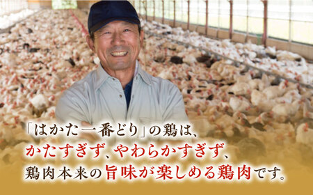 水炊き 福岡県産銘柄鶏「はかた一番どり」 [ABDD037] 水炊き