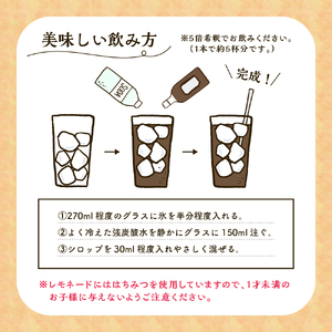 【先行受付】【2026年11月上旬～発送】とびしまレモン1kgとレモンシロップセット ku118-007-26