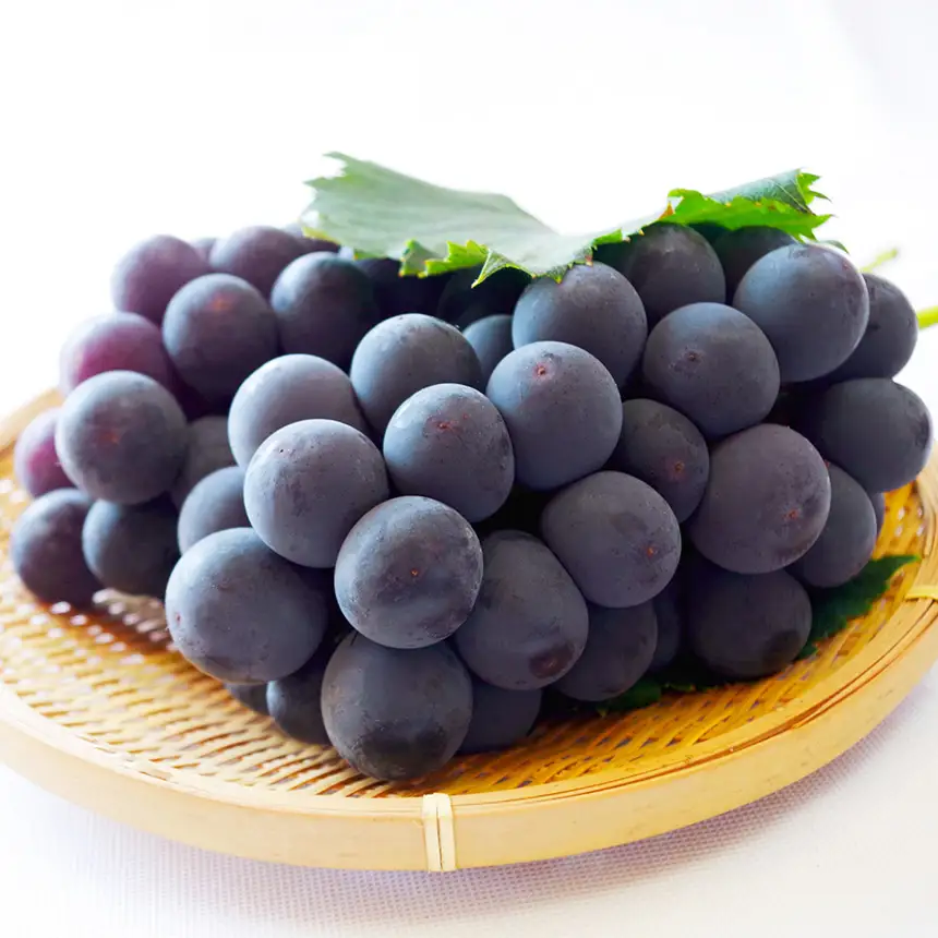 【先行予約】ピオーネ 2房 約1kg | 先行予約 季節限定 果物 くだもの フルーツ ぶどう 葡萄 ブドウ ピオーネ ジューシー 絶品 甘い 芳醇 旬 新鮮 奈良県 平群町