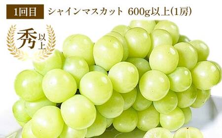 【令和8年産先行予約】 《定期便3回》 秋冬フルーツ定期便 『フードシステムズ』 シャインマスカット ラ・フランス りんご 果物 フルーツ 山形県 南陽市 [1150-R8]