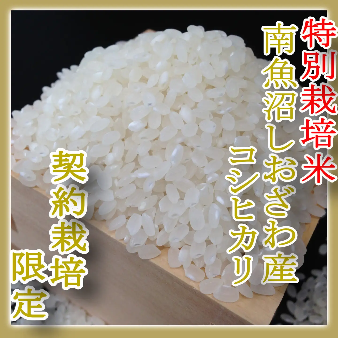 【令和7年産】【定期配送８Kg×６ヶ月】特別栽培 生産者限定  南魚沼しおざわ産コシヒカリ【定期便 銘柄米 ブランド米 精米 こしひかり コシヒカリ 魚沼産 新潟米 産地直送 お米 米 こめ コメ ご飯 御飯 ごはん】