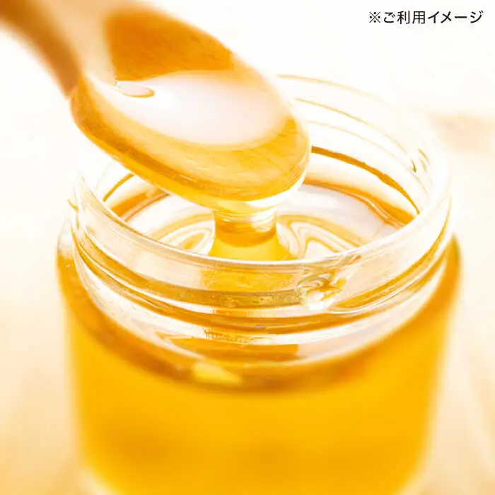 長崎県産天然はちみつ600g(2本セット) / 百花蜜 百花蜂蜜 蜂蜜 はちみつ ハチミツ / 諫早市 / 坂口養蜂 [AHDB001]