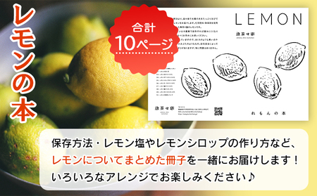 【先行予約】＜無茶々園のレモン 約3kg＋レモンの本＞ フルーツ 果物 くだもの れもん 檸檬 柑橘 香酸柑橘 国産 無茶々園 特産品 愛媛県 西予市【常温】『2027年1月～3月までに順次出荷予定』AMC0031
