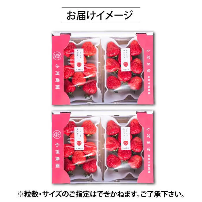 【先行受付】糸島産 完熟あまおう 280g×4パック (デラックスサイズ)【2027年1月以降順次発送】糸島市 / 小河農園 いちご フルーツ 果物 [AJN002]