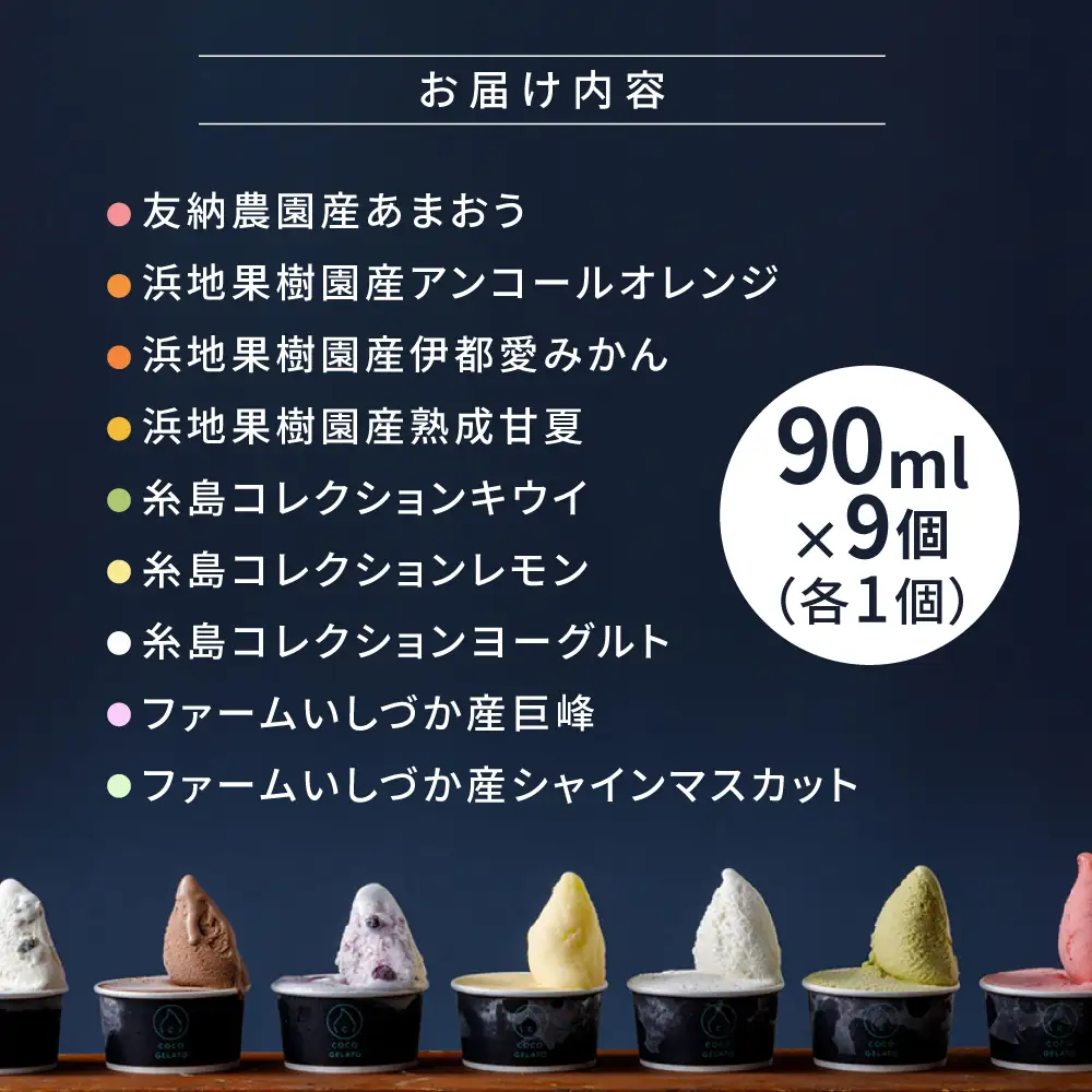 糸島 フルーツ 生ジェラート 9個セット 糸島市 / COCO GELATO [AON001]