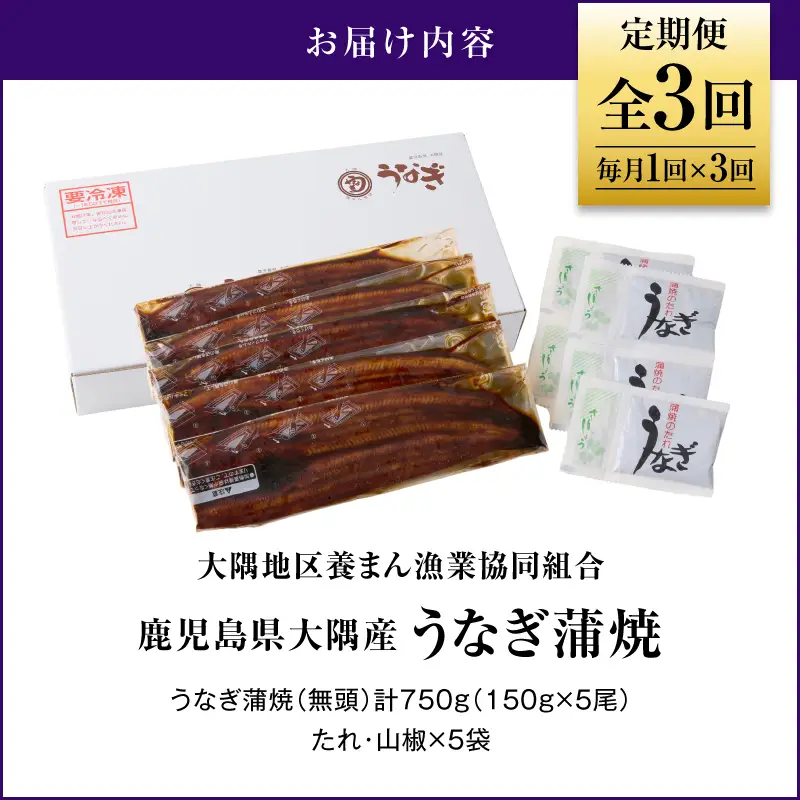 2082-1 鹿児島県 大隅産 うなぎ 蒲焼 5尾（ 750g ）【 3ヶ月 定期 】 KN007-T04 魚 冷凍 鰻