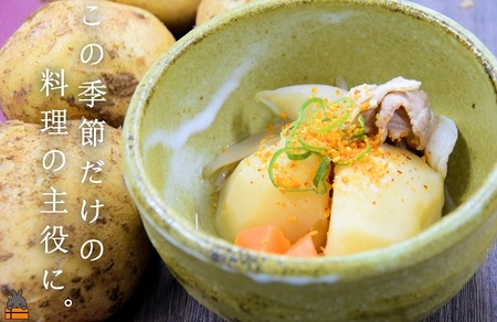 《今が旬！》～これからは産地で選びたくなる～徳之島産新じゃがいも（10kg） ( バレイショ 野菜 旬 春 徳之島 奄美 鹿児島 肉じゃが カレー じゃがバター 美味しい 人気 オススメ )