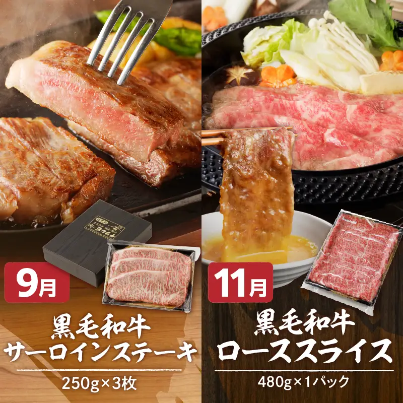 【全6回】「 肉のヨコムラ 」鹿児島県産 黒毛和牛 ・ 黒豚 定期便 （奇数月にお届け） K189-T01 肉 豚肉 牛肉 冷凍