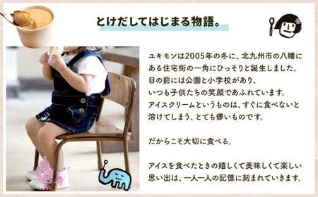 雪文アイス 5個 セット アイス 5種類 (コクミルク/チョコレート/抹茶/NYチーズケーキ/塩キャラメル) アイスクリーム 食べ比べ 詰合せ カップアイス