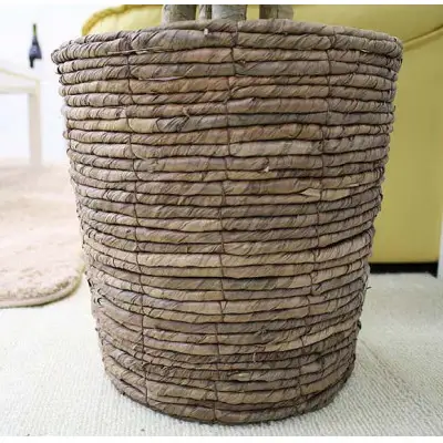 【観葉植物】オーガスタ 8号 ブラウンバスケット鉢カバー 土の表面：ウッドチップ【観葉植物 インテリア 部屋 おしゃれ 福岡県 筑前町 送料無料 AG032】