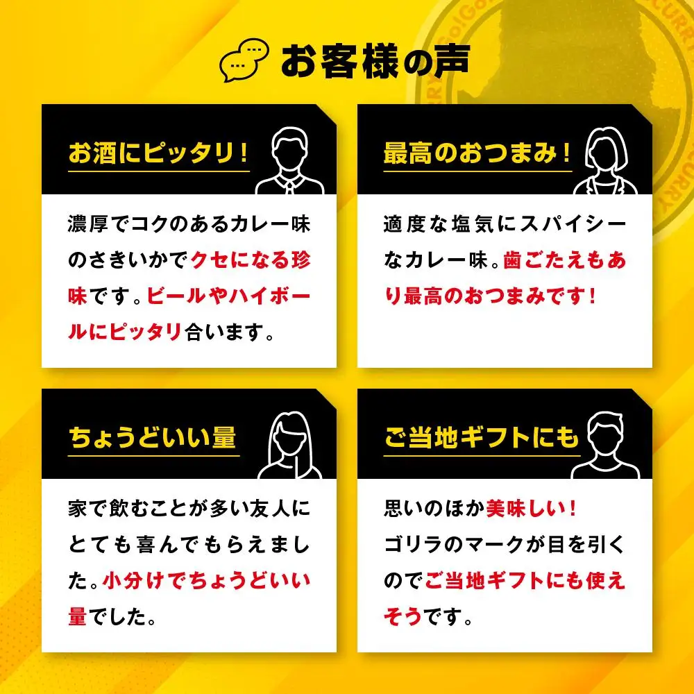 ゴーゴーカレー さきいか 13袋セット