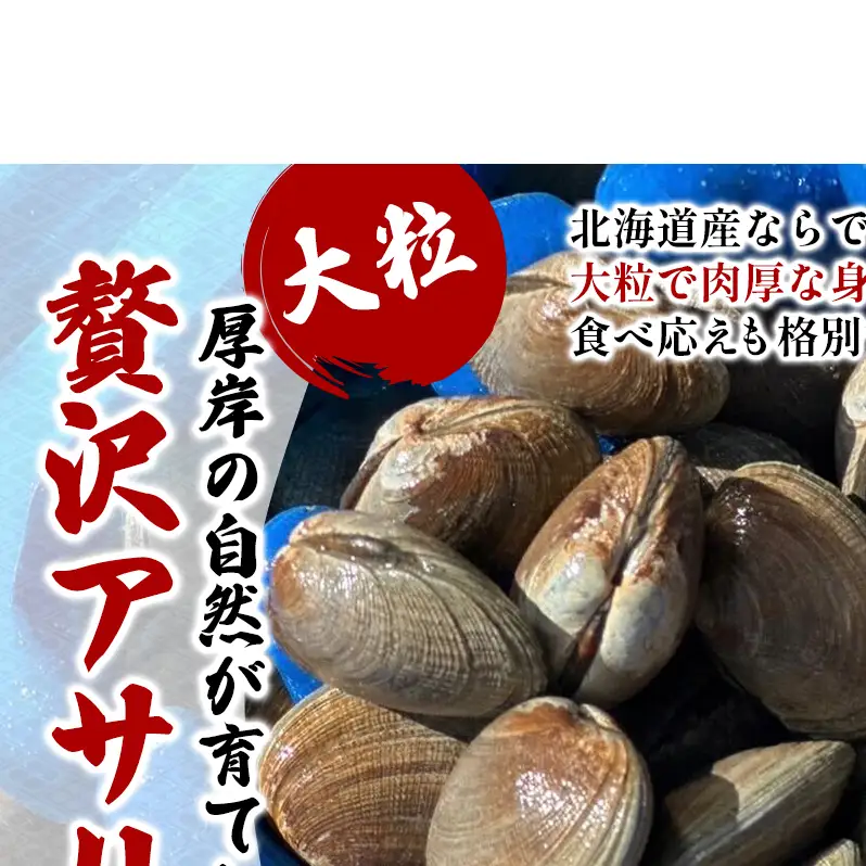北海道 厚岸産 砂抜き済み あさり 1kg ＆ ブランド牡蠣 マルえもん 殻付き LLサイズ 10個 【光輝】 [ 魚貝類 海鮮 海の幸 みそ汁 酒蒸し アサリバタ 産地直送 生食用牡蠣 生食用 牡蠣 カキ ］