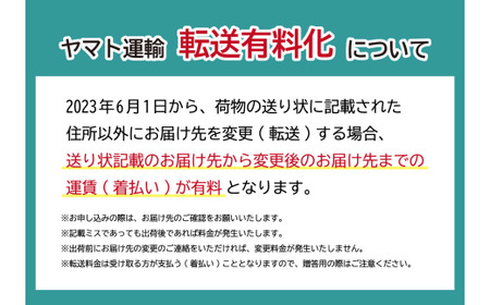 【先行予約】いちご あまりん 260g×2 苺 あまりん＼ 期間限定 特別寄附額 ／