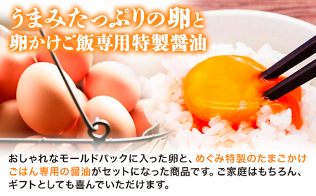 卵 たまご 夢の卵 赤玉 卵かけご飯セット 20個 + 12個 醤油 1本《90日以内に出荷予定(土日祝除く)》株式会社めぐみ 岡山県 浅口市 送料無料 6個 × 2セット 卵かけごはん