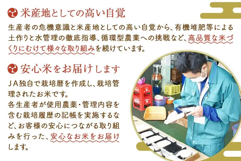 あきたこまち 白米5kg(5kg×1袋)  5キロ お米 令和7年産 秋田たかのす農業協同組合