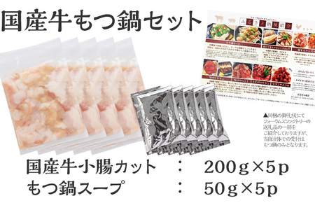 国産牛もつ鍋セット 福岡 グルメ ご当地 お取り寄せ あったか 冬 国産 小腸 鍋 正月 年末年始 家族