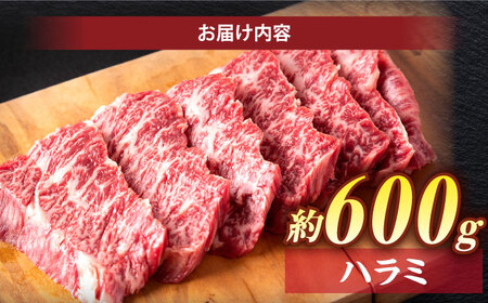 【スピード配送】ハラミ 600g (250g×3パック)  小分け焼肉 熟成 牛肉 ハラミ [ALEF008]