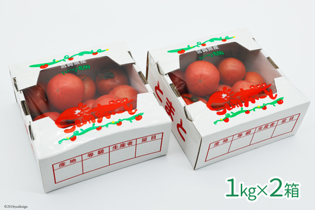 【期間限定発送】 訳あり トマト SUNすいーと 1kg×2箱