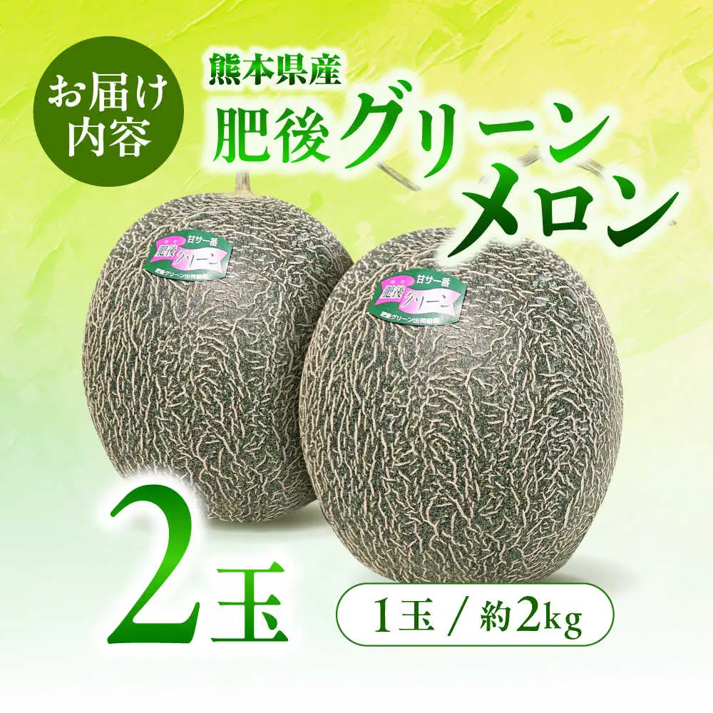 【先行予約】肥後グリーンメロン2玉熊本メロンめろんZCN003