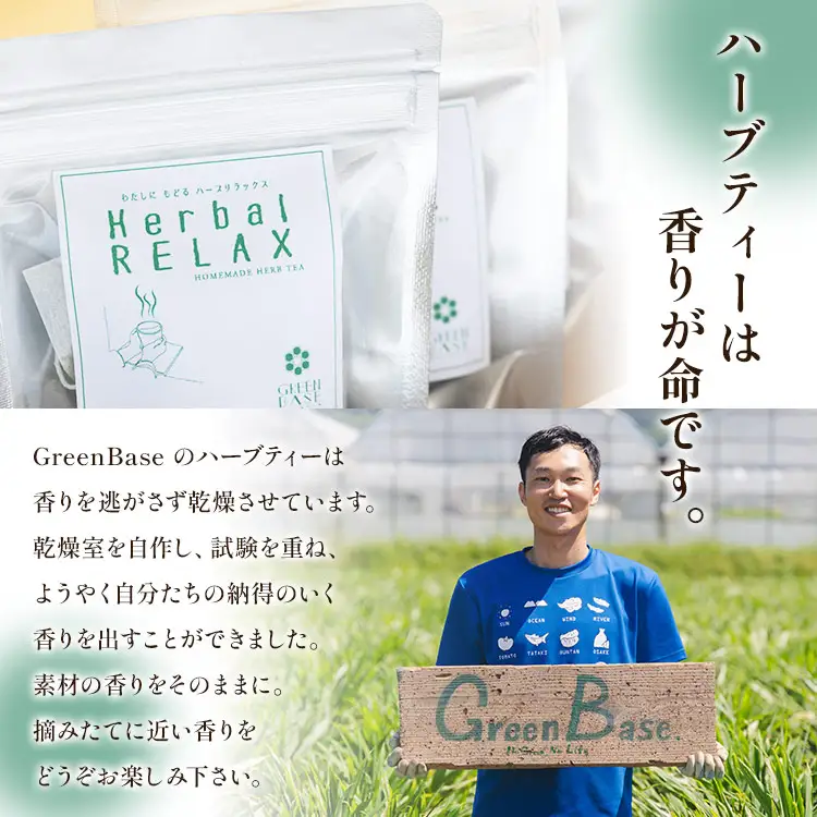 【ローズマリー】ハーブ 6パックセット【リラックス 茶葉 お茶 ハーブティー】 gr-0156