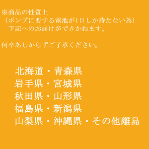 【先行受付】生け簀でお届けヒオウギ貝65個セット エアポンプ付【R00646】