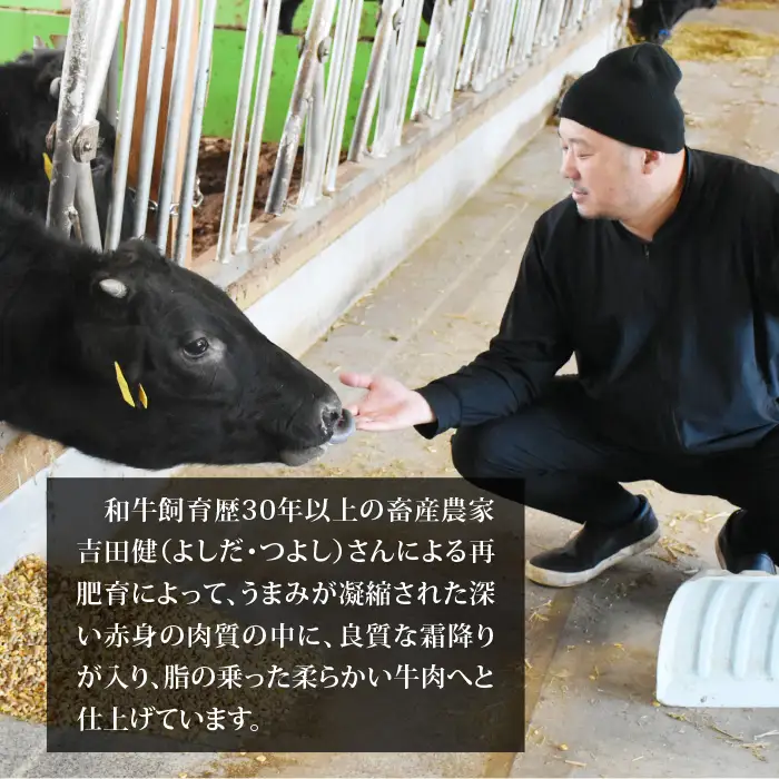 国産黒毛和牛（経産牛3等級以上）「歩（AYUMU）」肩ロース　スライス　 500g（250g×2パック）急速液体冷凍